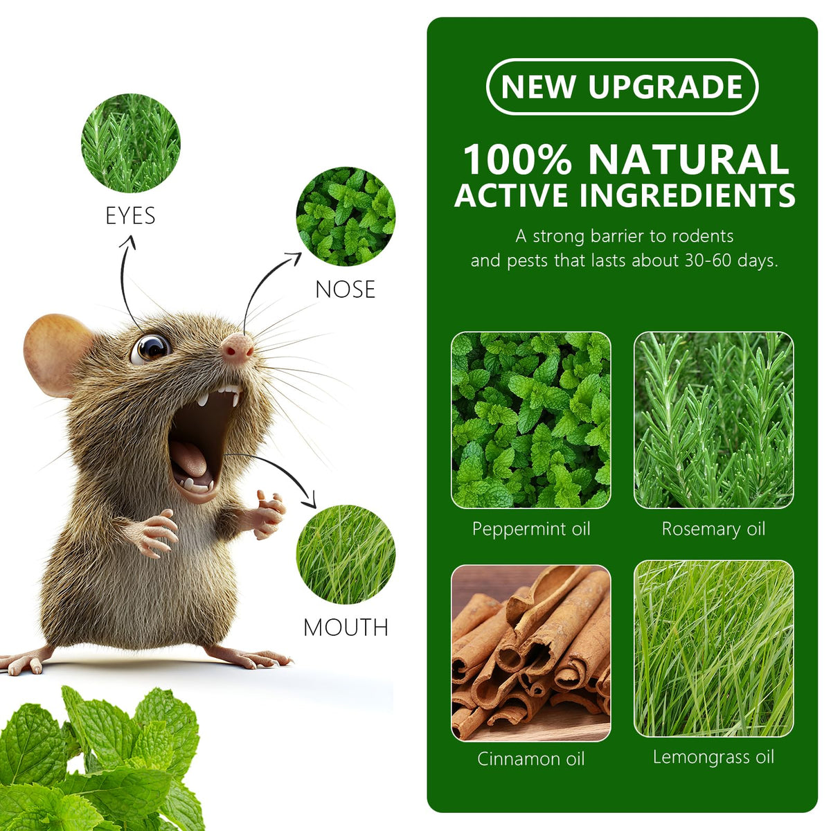 Nihasker peppermint lemon oil blend delivers natural deterrence without harsh chemicals.