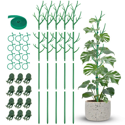 NiHome 50-inch plant stake with natural branch look supports upright growth for vines