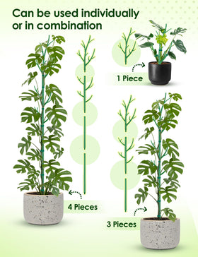 NiHome extension poles paired with stakes for versatile climbing plant support
