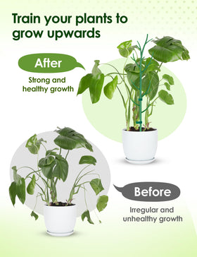 NiHome round plant clips keep vines tidy along the branch-like stake