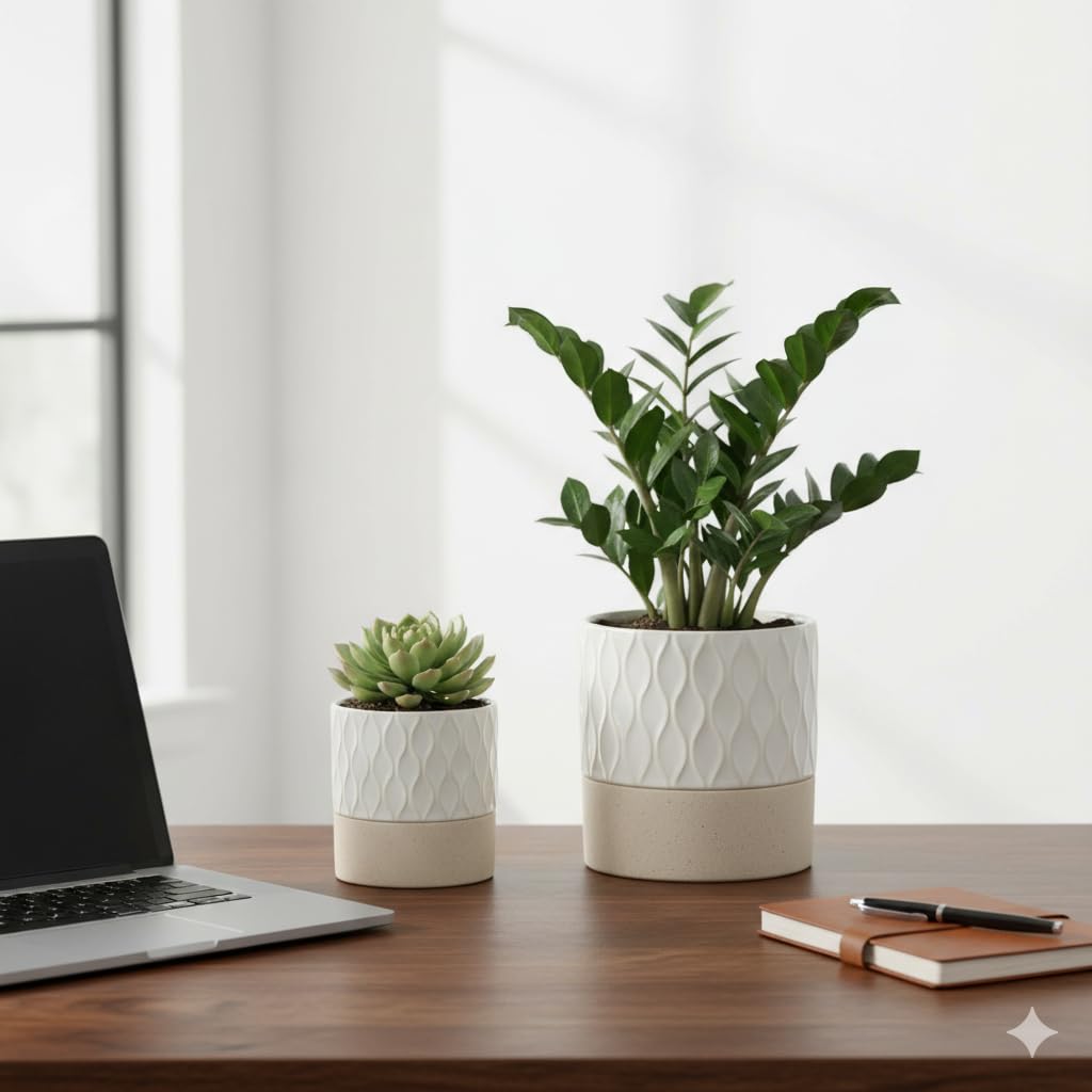Nihow 6-inch planter suitable for orchids, spider plants, and succulents.