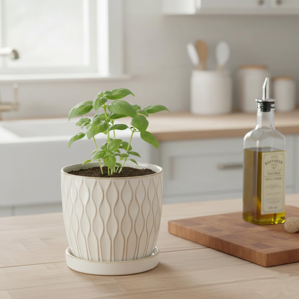 Nihow cactus pot fits tiny greens on shelves or tabletops.