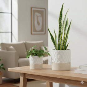 Nihow decorative ceramic planter for indoor plant displays with a chic look.