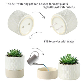 Nihow ceramic planter showing wick system for consistent indoor moisture.