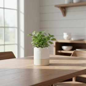 Nihow cylinder plant pot beige-nature finish complements decor.