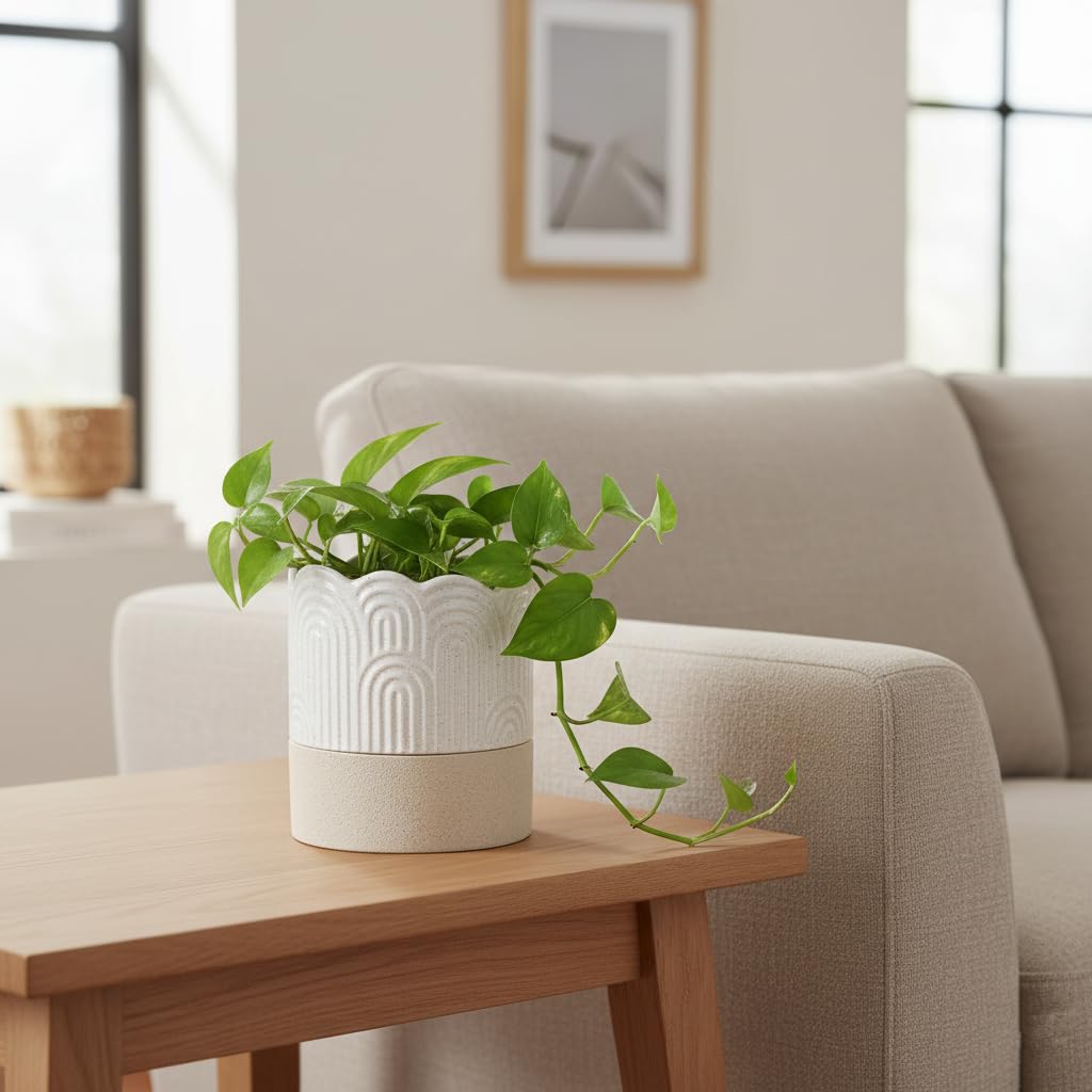 Nihow herb planter ceramic ideal for kitchen herbs.