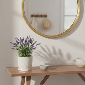 Nihow little-snake plant pot complements modern decor and easy care.