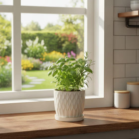 Nihow minimalist white pot blends with any décor.