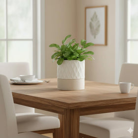 Nihow plant pot with water storage saucer designed for travel-friendly plant care.