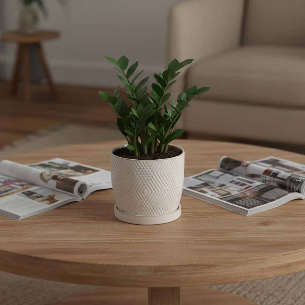 Nihow planters for office desk add tidy style.