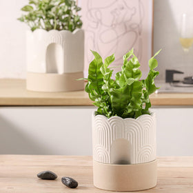 Nihow beige planter design enhances any windowsill or shelf