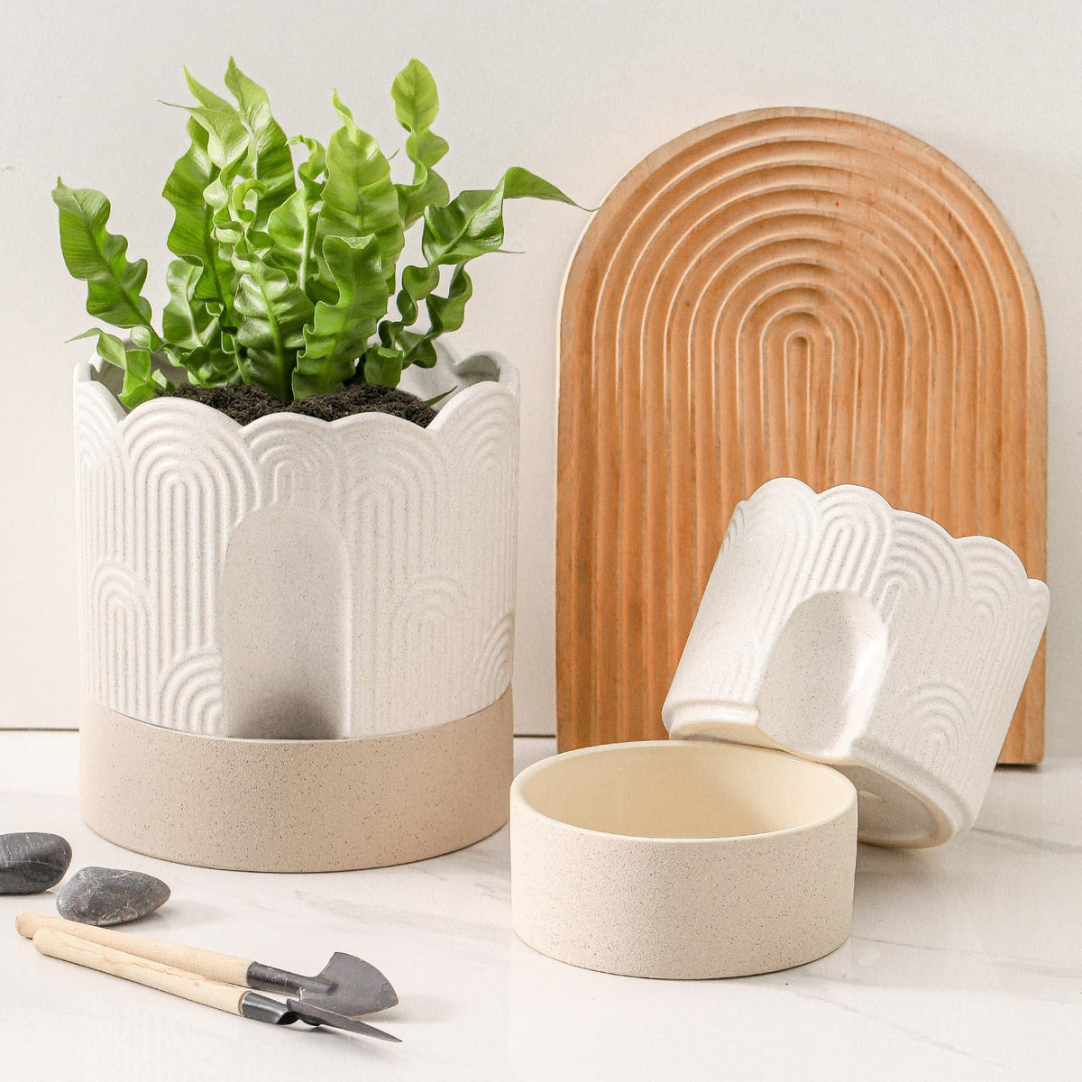 Nihow planter designed for hanging or versatile indoor displays