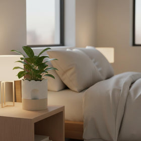Nihow indoor-friendly planter suitable for orchids and succulents
