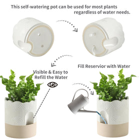 Nihow pot with water saucer storing extra moisture for hydration