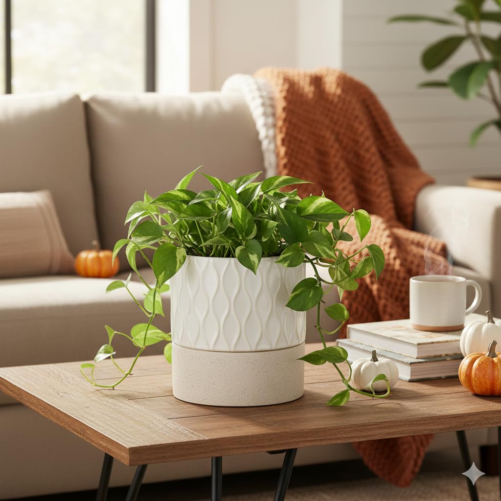 Nihow self-watering pot includes rubber plugs to control drainage effectively.