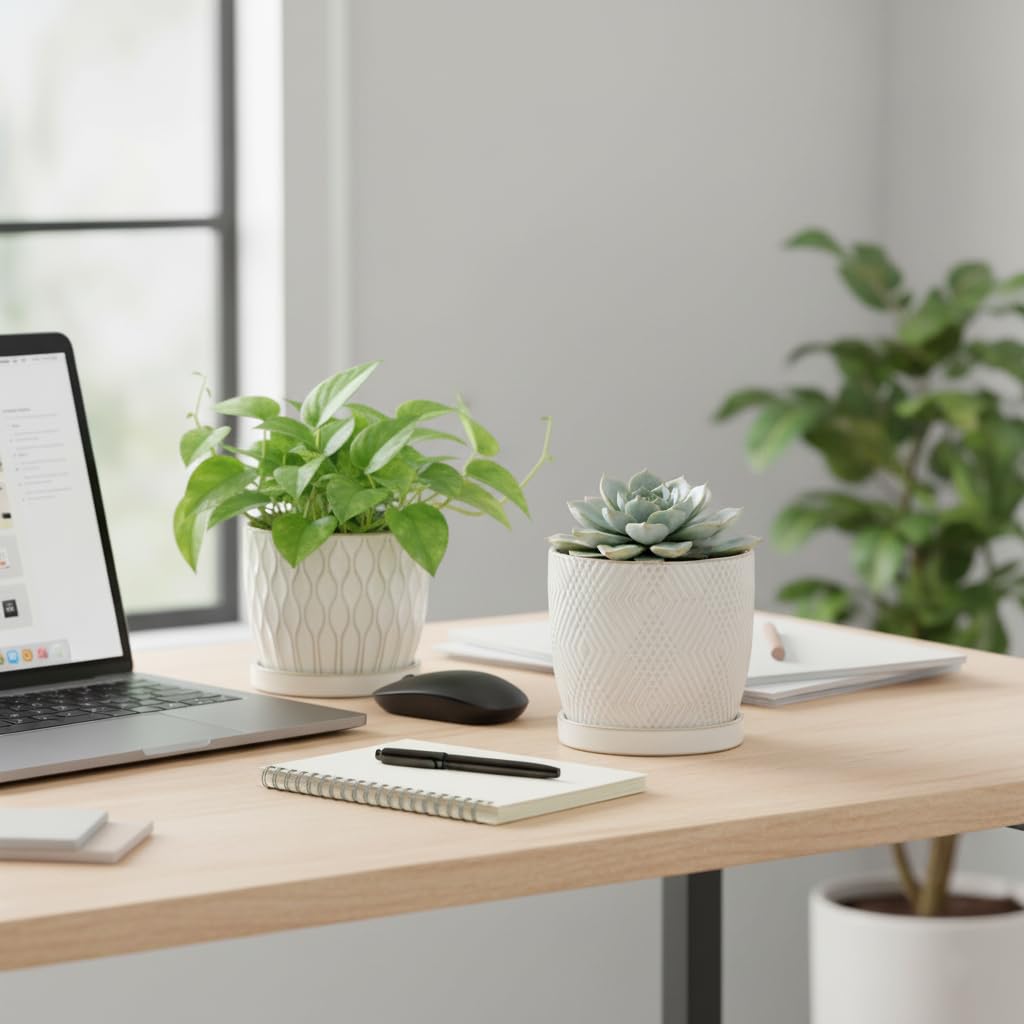 Nihow small succulent pot ideal for desks and windowsills.