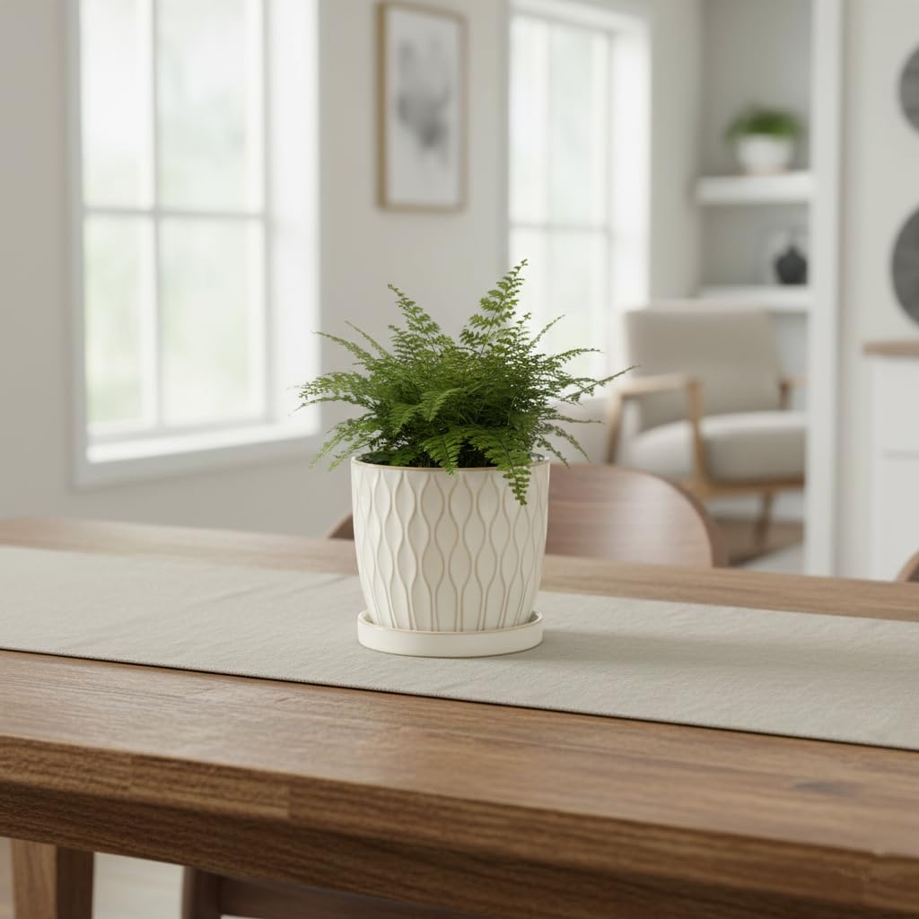 Nihow two-pack ceramic planters offer coordinated display at home.