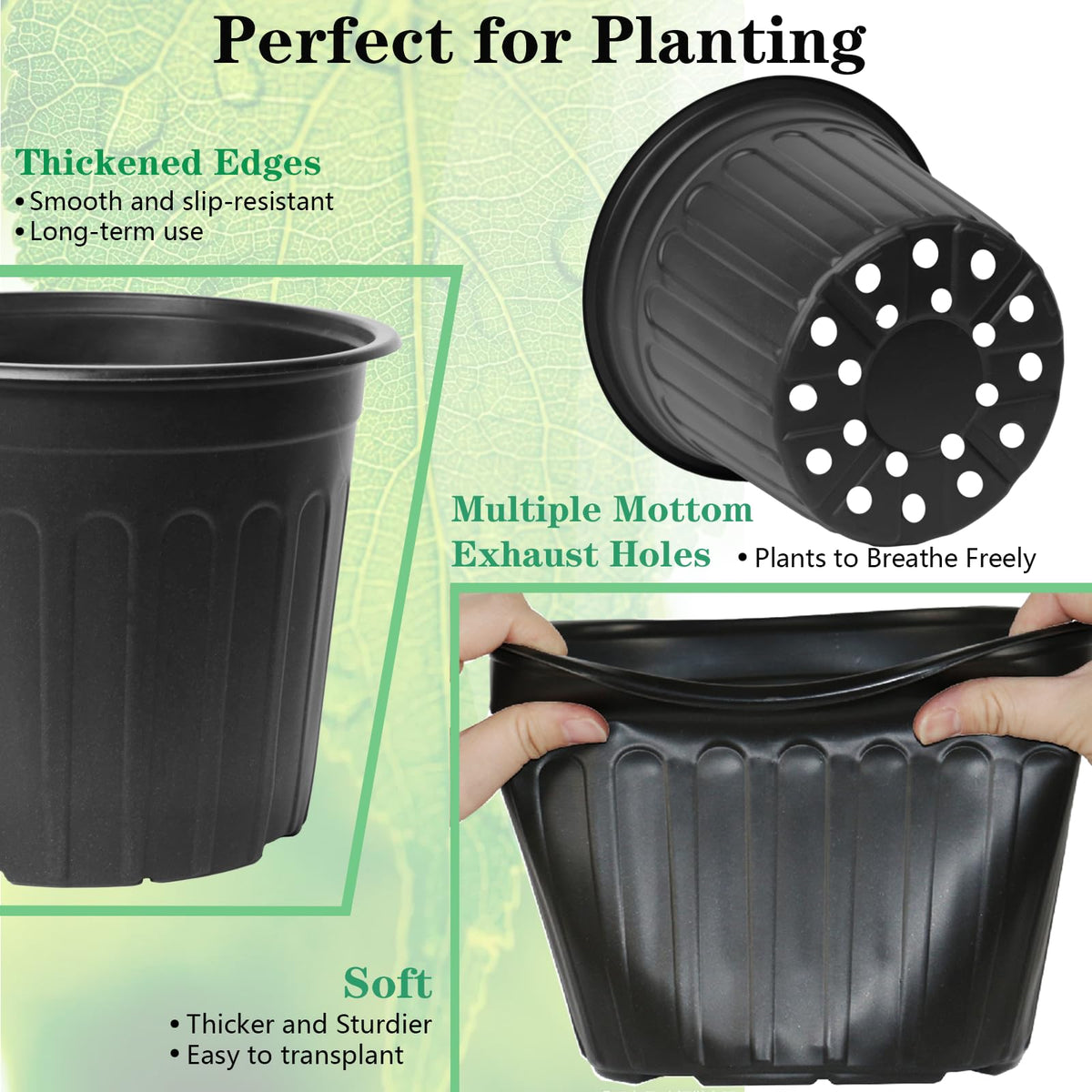 Niiiice drainage holes promote soil drainage and healthy roots