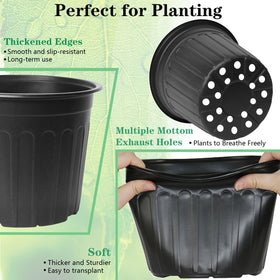 Niiiice drainage holes promote soil drainage and healthy roots