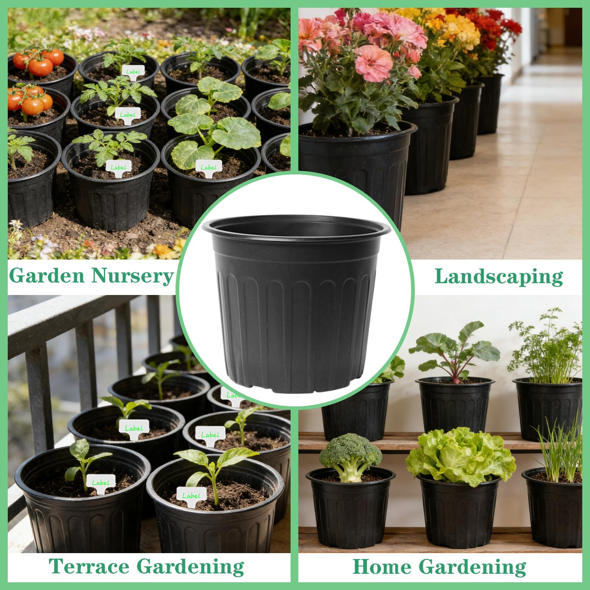 Niiiice includes watering bottle, transplant tools, and labels