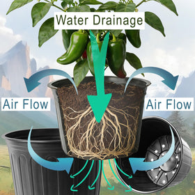 Niiiice suitable for indoor and outdoor seedlings and cuttings