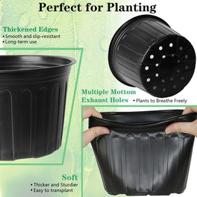 Niiiice raised rim design for easy handling and stacking.
