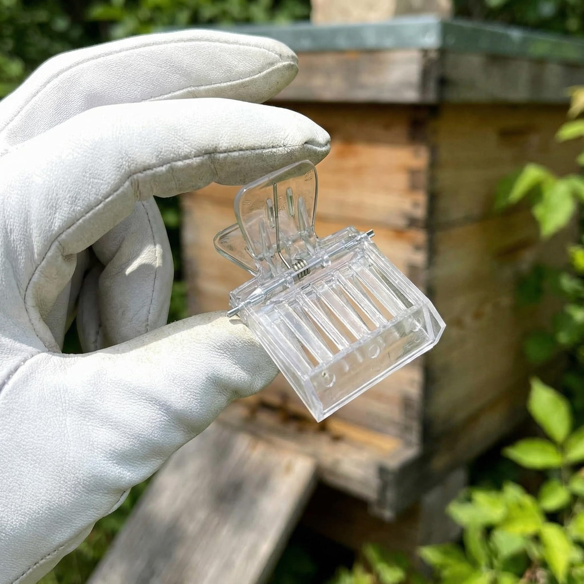 NIIIYTYB durable plastic clips built for long term beekeeping.