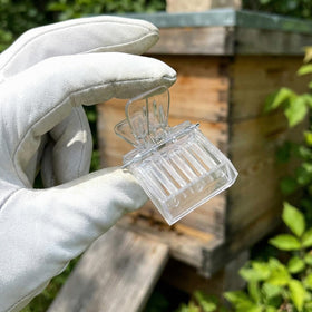 NIIIYTYB durable plastic clips built for long term beekeeping.