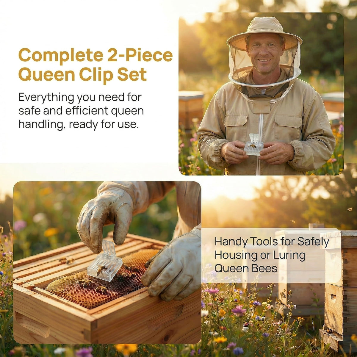 NIIIYTYB bee clip queen capture shows secure queen handling.