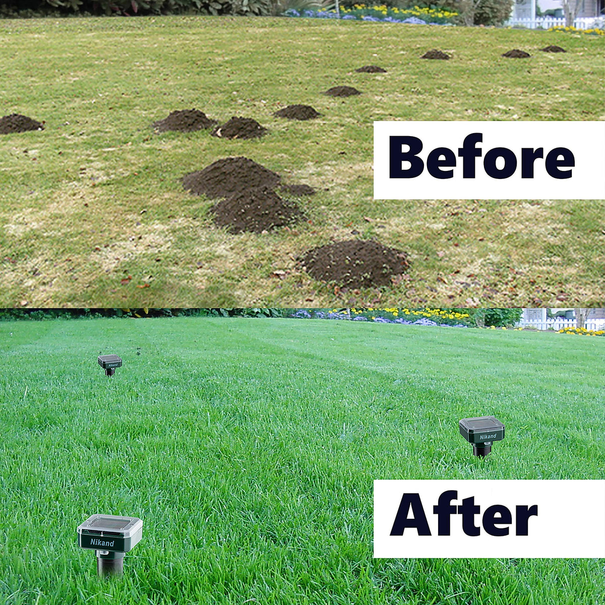 NIKAND Waterproof corrosion-proof stakes in rainy lawn scene