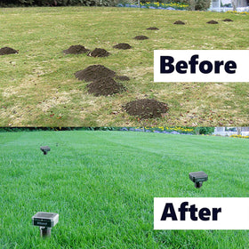 NIKAND Waterproof corrosion-proof stakes in rainy lawn scene