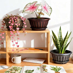 NIKONIKO 12-inch pot ready for flat or hung installation