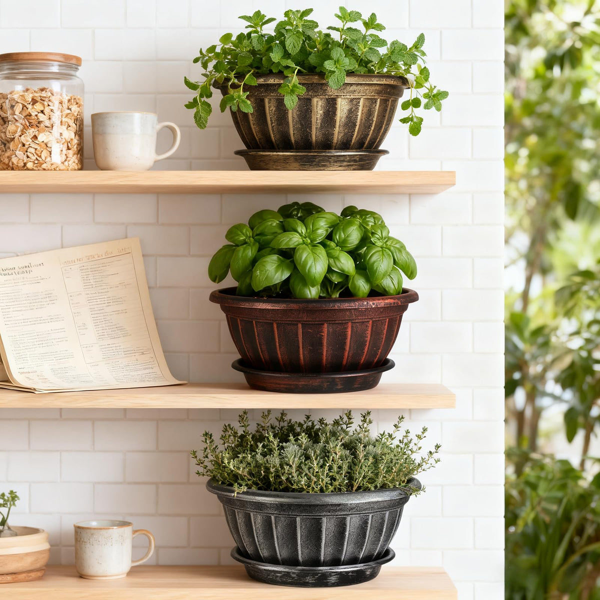 NIKONIKO multi-color plant pot display for cohesive indoor styling