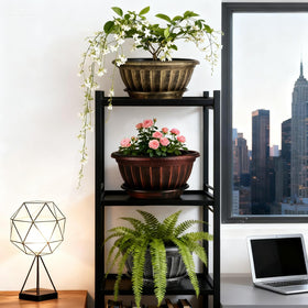 NIKONIKO 12-inch pot on a bright window sill display