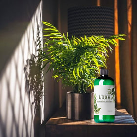 NilocG Lush at-home garden scene shows safe, eco-friendly nourishment.