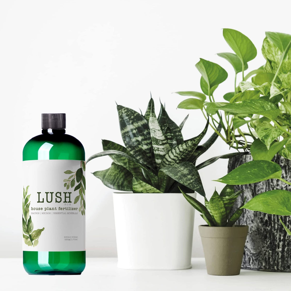 NilocG Lush concentrate container promises over 50 gallons of growth-boosting nutrition.