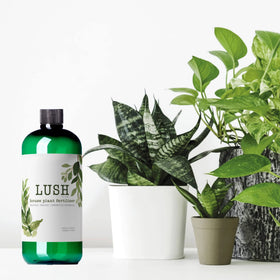 NilocG Lush concentrate container promises over 50 gallons of growth-boosting nutrition.