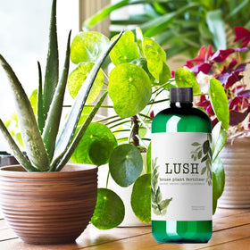 NilocG Lush app-ready mixing photo shows easy dilution in water.