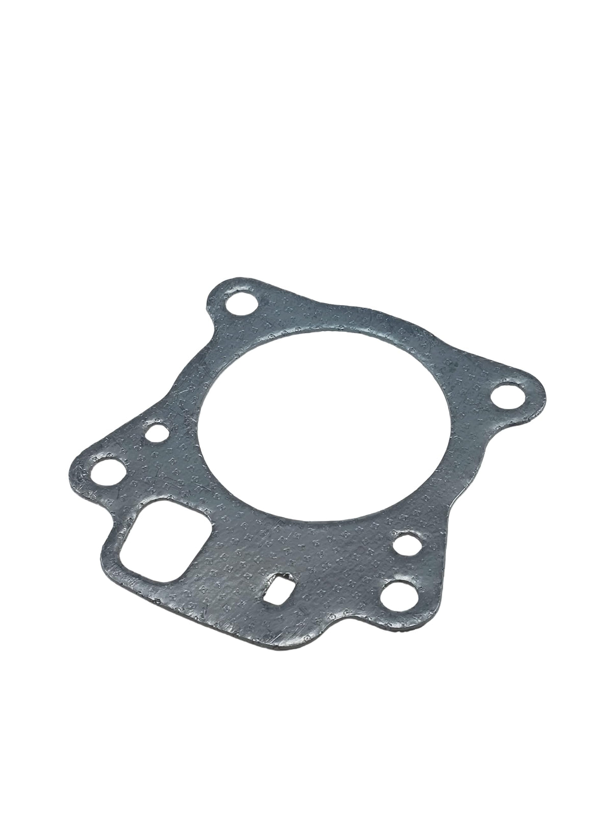 Nimiah graphite gasket closeup showing sealing surface quality