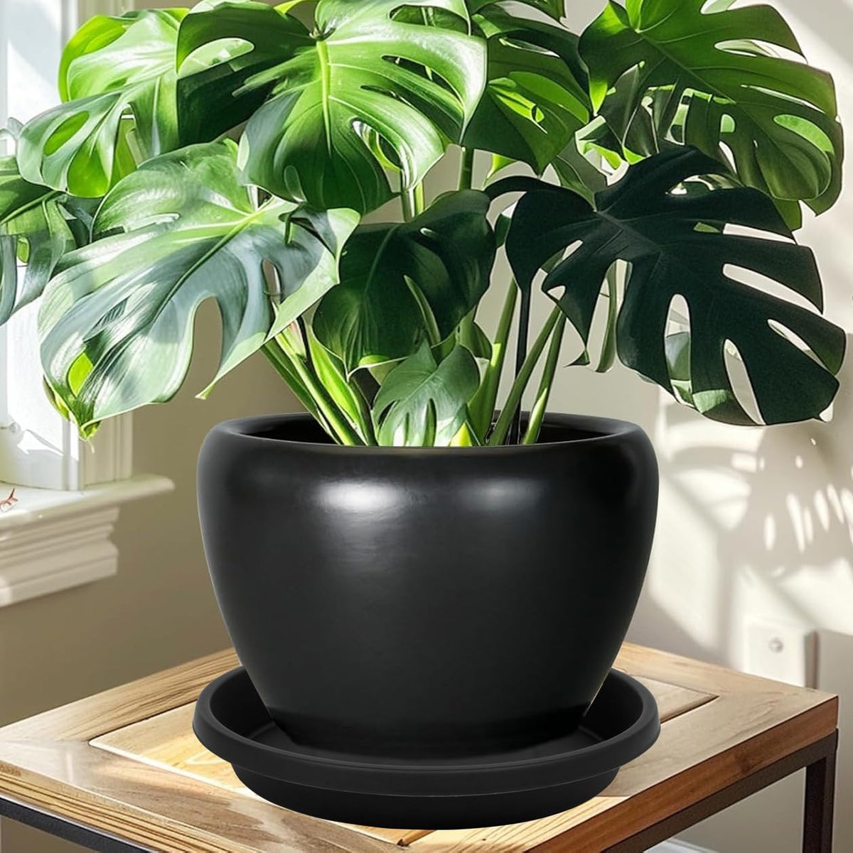 NIMYAU 4-pack is suitable for indoor shelves and windowsills.