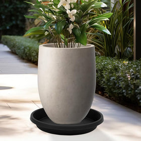 NIMYAU easy-to-clean tray catches debris and makes watering neater.