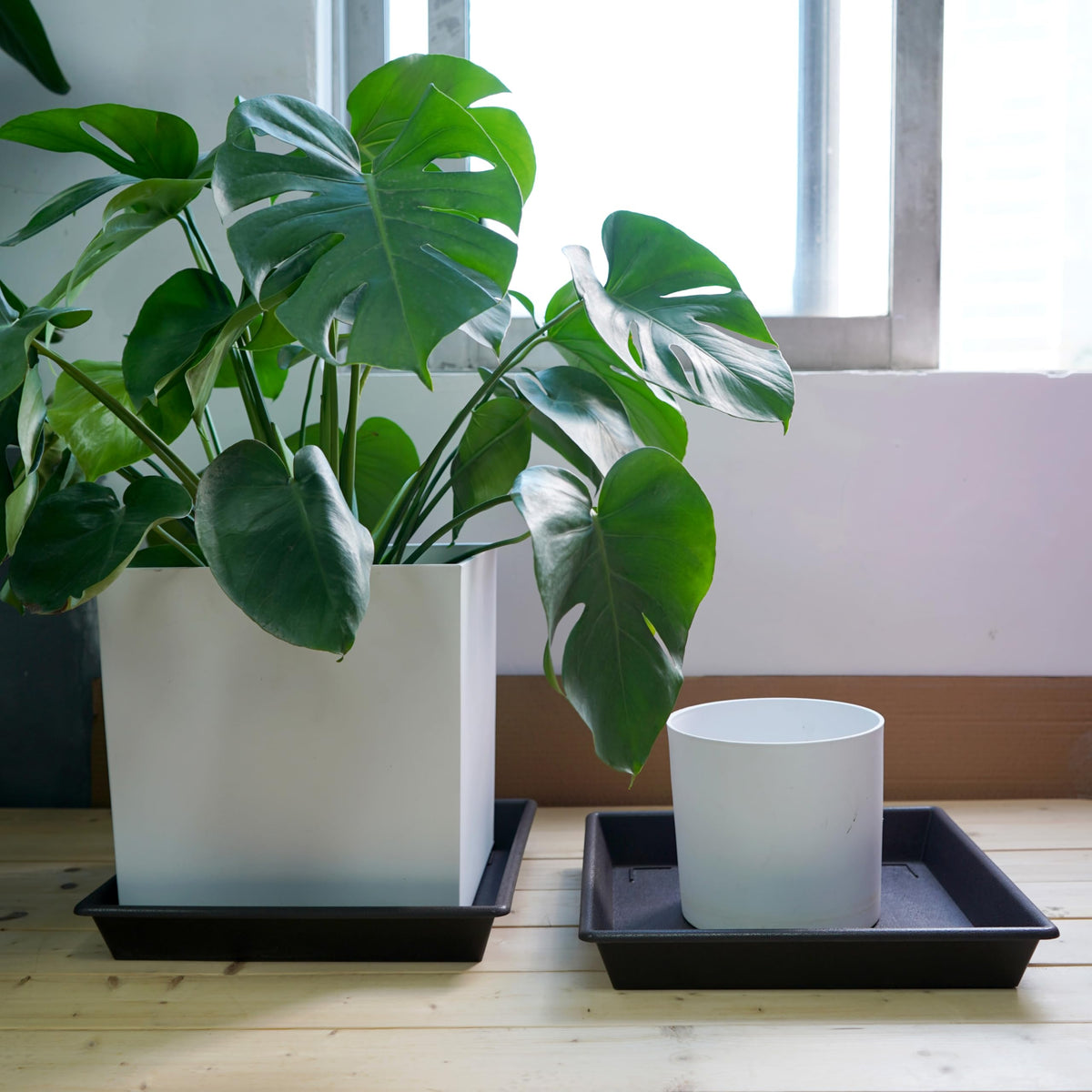 NIMYAU heavy duty plastic square plant saucer durability