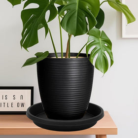 NIMYAU 12-inch pack of 2 plant saucers simplifies pot maintenance.
