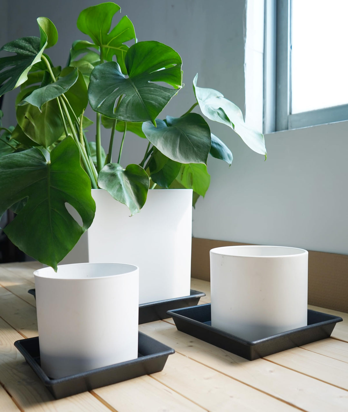 NIMYAU 12-inch durable plastic tray shown