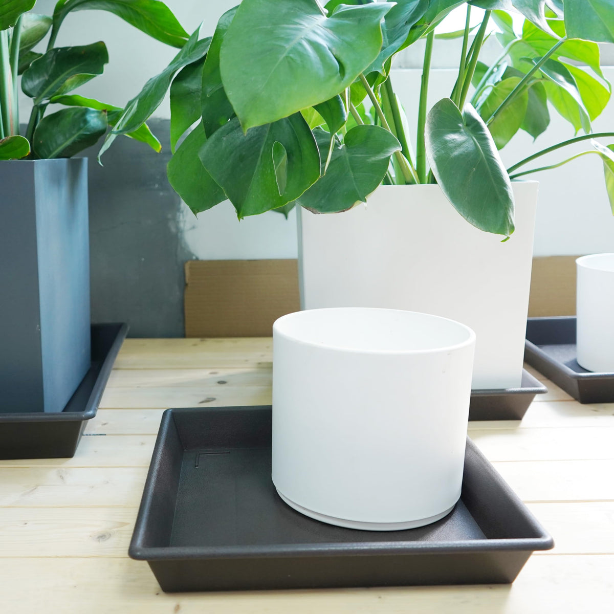 NIMYAU square plant saucer on patio for pot protection