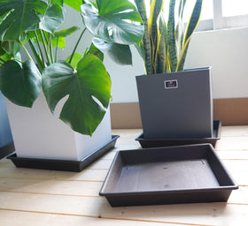 NIMYAU square plant saucer placed indoors and outdoors for protection