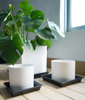 NIMYAU plant saucer protects floors in indoor or outdoor use