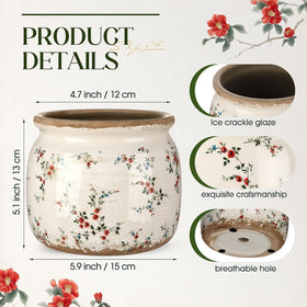 Ninehaoou beige and red duo planter complements vintage interiors.