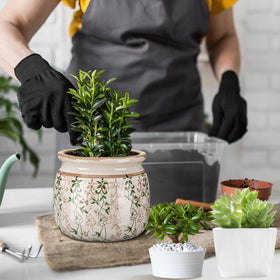 Ninehaoou ceramic flower pot six inch suited for small plants or faux arrangements.