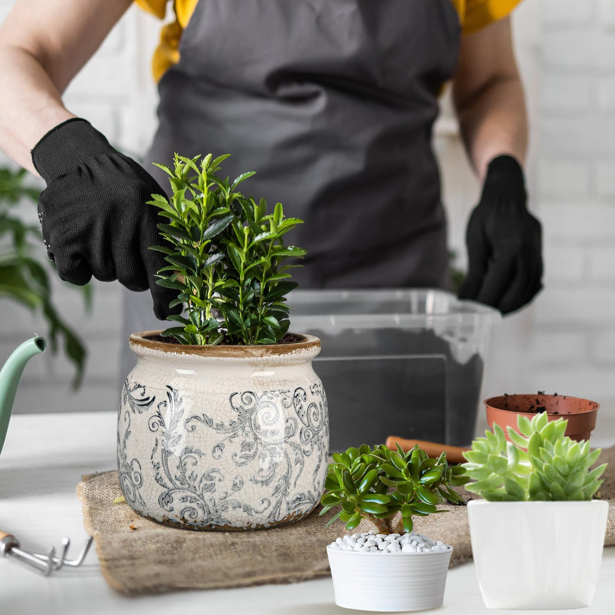 Ninehaoou planter usable as a chic desktop organizer for small items.